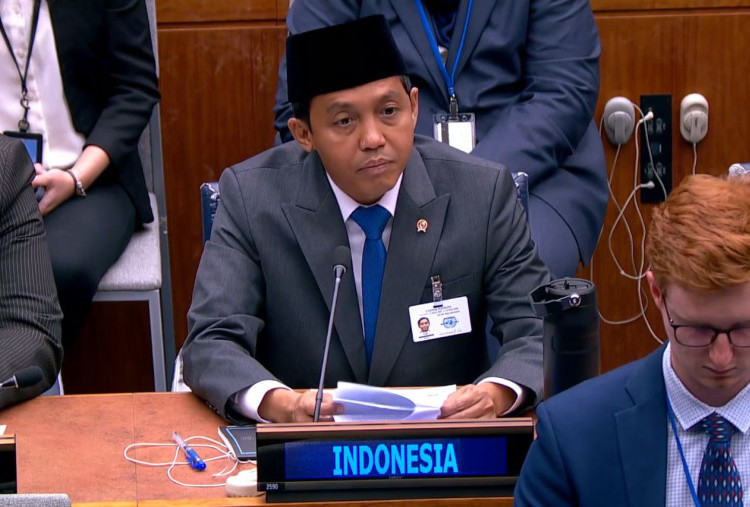 Di Forum PBB, Pemerintah Ungkap Dampak Kebakaran Hutan di Indonesia Turun 86 persen, Apa Rahasianya?