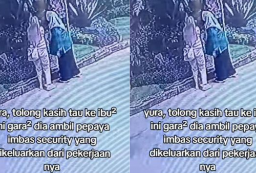 Bikin Geram! Satpam Lansia Dipecat Gegara Kelakuan Pengunjung Curi Pepaya di Tempat Wisata