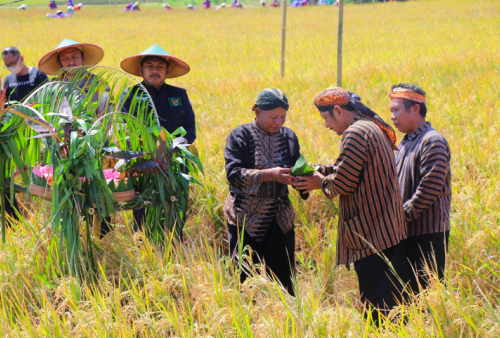 HKTI Jatim Kampanyekan Konsep Pertanian Organik di Tengah Pengurangan Subsidi Pupuk