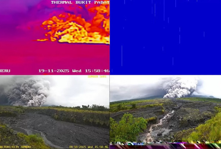 Update Erupsi Semeru: Dampak, Situasi, dan Status Terkini 