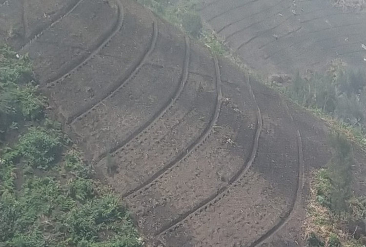Banjir di Pasuruan, Masyarakat Sindir Rusaknya Lereng Gunung Bromo, Welirang, dan Arjuno