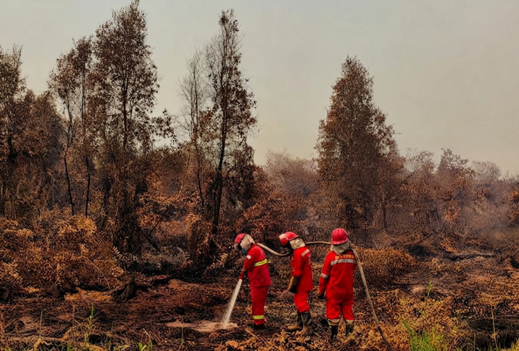 Kebakaran Hutan di Kalimantan Diprediksi hingga Oktober, Asap Masuk Sarawak, Bandara  Supadio Lumpuh