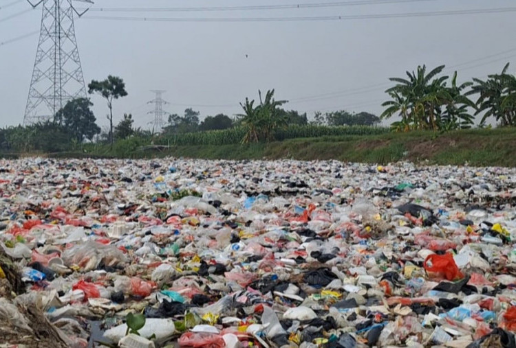 Sampah Menumpuk di Sawah Warga Babelan, Diduga Oknum DLH Buang Sembarangan