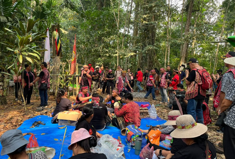 5 Sub-Suku Dayak di Sanggau Didata, Perjuangkan Pengakuan Masyarakat Adat