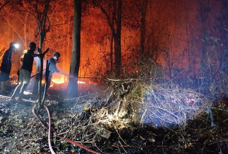 8,8 Ribu Hektare Hutan Konservasi Jatim Ludes Terbakar, 6 Relawan dan Petugas Gugur di Bromo