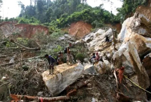 BNPB Ungkap Penyebab Tambang di Solok Longsor Tewaskan 15 Orang: Struktur Tanah Labil