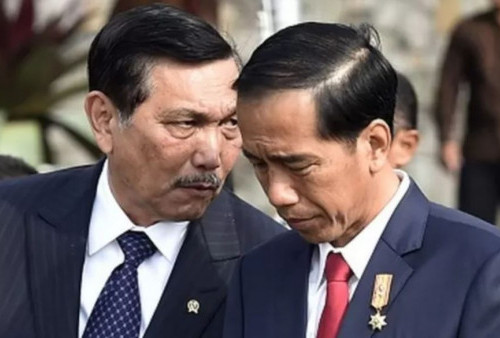 Presiden Jokowi dan Menko Luhut Jalin Kerjasama dengan China, Dalam Hal Apa?