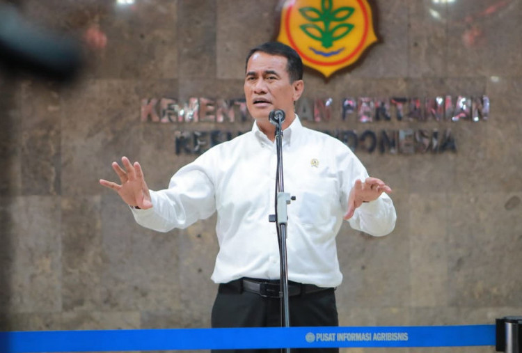Kementan Tegaskan Stok Pangan Aman Saat Momen Panen Raya