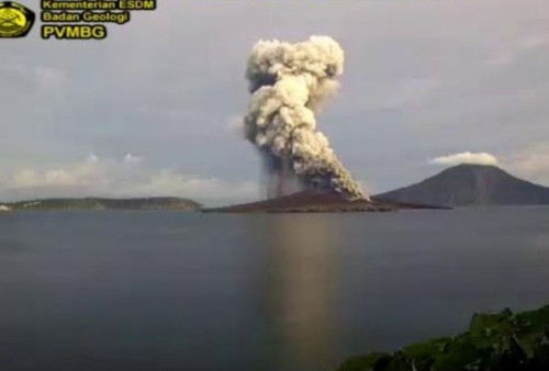 Gunung Anak Krakatau Erupsi, Ketinggian Abu 1500 Meter di Atas Puncak