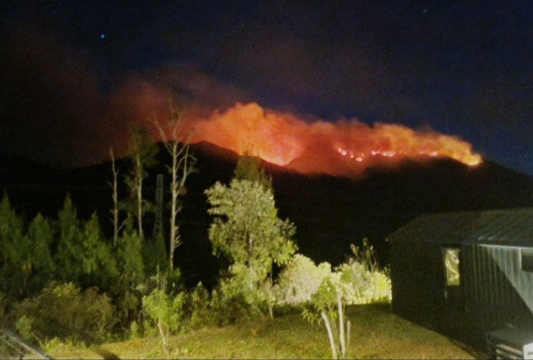 Kebakaran Hutan Makin Meluas, Lima Gunung di Jawa Timur Terbakar