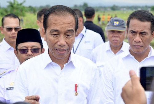 Presiden Jokowi Lihat Potensi IKN untuk Tingkatkan Sektor Ekonomi 