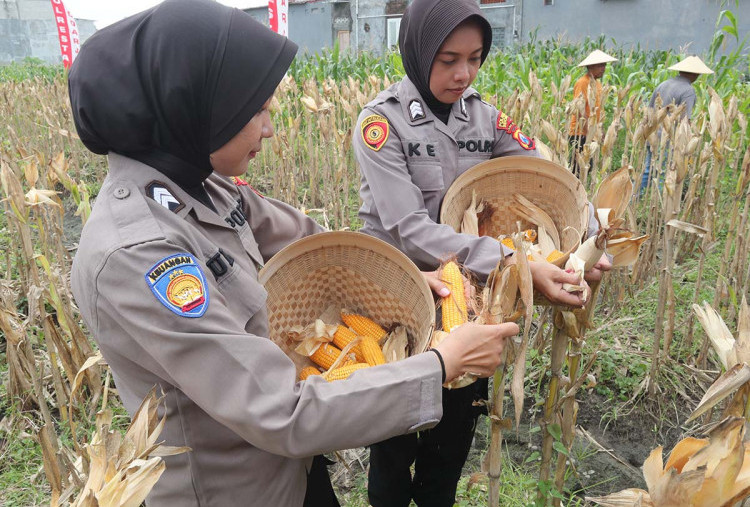 Sementara itu  Kapolresta Sidoarjo Kombes. Pol. Christian Tobing mengatakan 