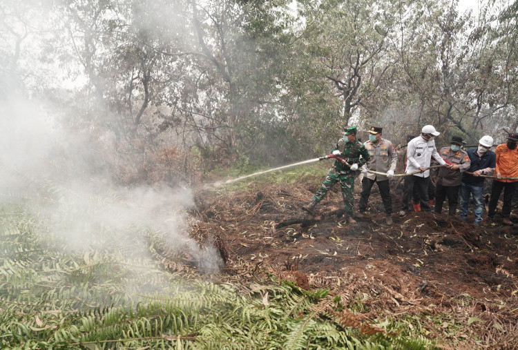 2.945 Hotspot Terdeteksi di Sumatera, Sumsel Tertinggi 1.429 Titik