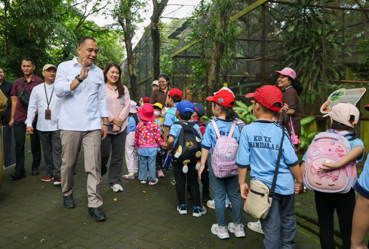 Wajah Baru Kebun Binatang Surabaya, Ada Satwa Baru dan Night Zoo