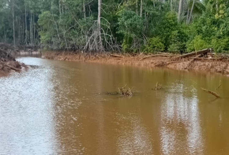 Limbah Diduga Cemari Teluk Buli, Latamla Soroti Pengelolaan Lingkungan PT FHT