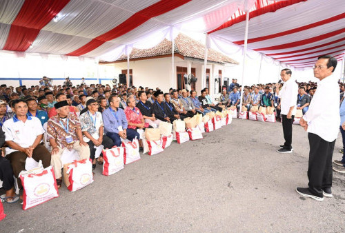 Jokowi Bagikan Bansos Beras di Bantul bersama Sri Sultan Hamengkubuwono X