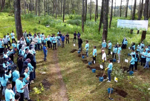 Rayakan HUT ke-18, Finnet Lakukan Program Penanaman Pohon di Cikole