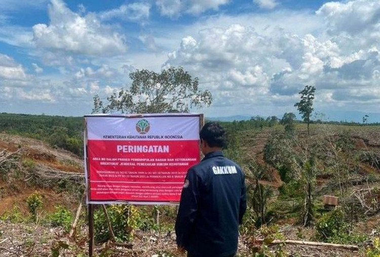 Kemenhut Audit 24 Izin HPH dan HTI Terkait Dugaan Pembalakan Liar Penyebab Banjir di Sumatera