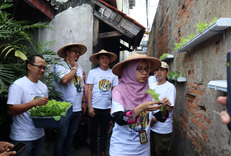 PNM Dampingi Urban Farming di Lorong-lorong Jakarta