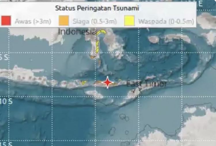 Gempa M7,7 Guncang Nagekeo NTT, Tsunami Terdeteksi di Sejumlah Wilayah