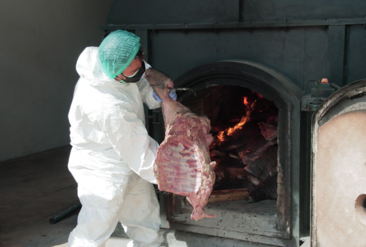 2,9 Ton Daging Babi Hutan Tidak Bersertifikat Dimusnahkan Barantin di Cilegon