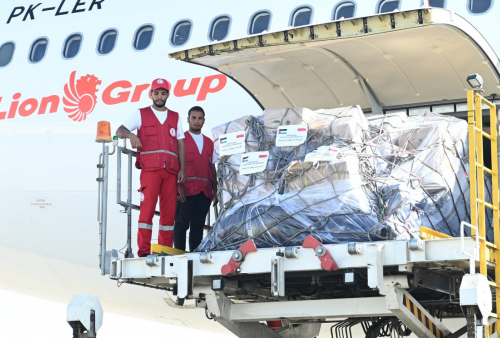 Pesawat Ketiga Bantuan Indonesia untuk Palestina Tiba di Mesir