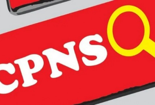 Rekrutmen CPNS dan PPPK Tahun 2022 Dibuka, Simak Formasinya