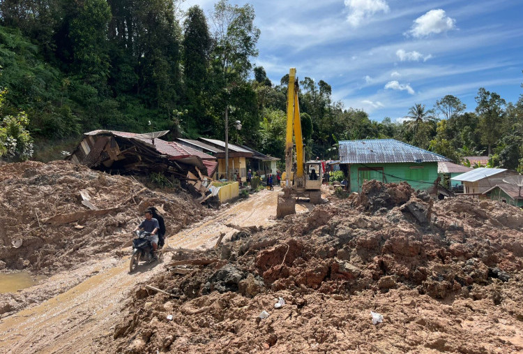Netizen Ramai Usul Patungan Beli Hutan, Ini Prosedur Resmi Menurut Regulasi Indonesia
