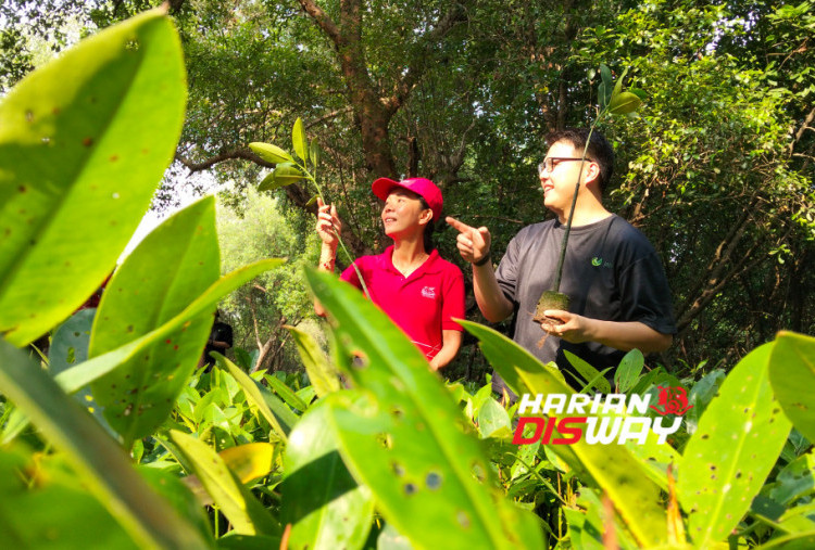 Generali Indonesia Tanam 20 Ribu Mangrove, Serap 9 Juta Kilogram Karbon