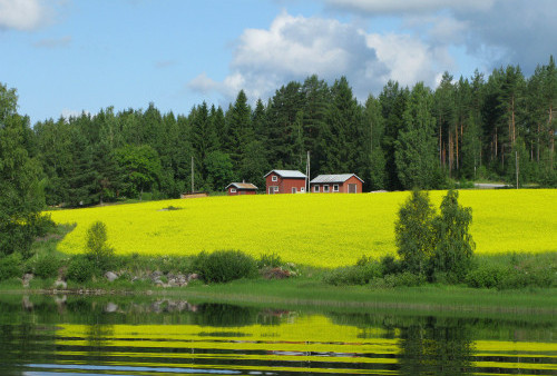 Finlandia Tetap Diklaim sebagai Negara Paling Bahagia di Dunia, Simak Sisi Menariknya