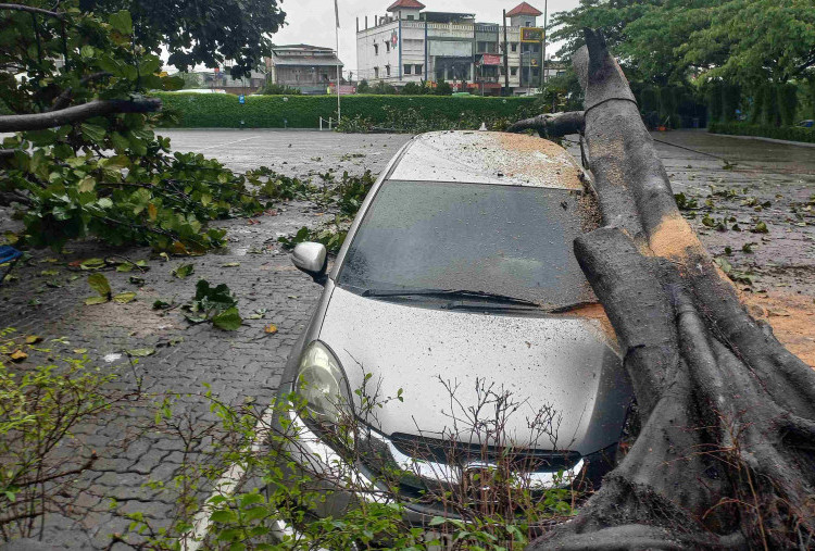 Mobil Honda Mobilio Tertimpa Pohon Tumbang di Tangerang, Segini Harga Pasarnya