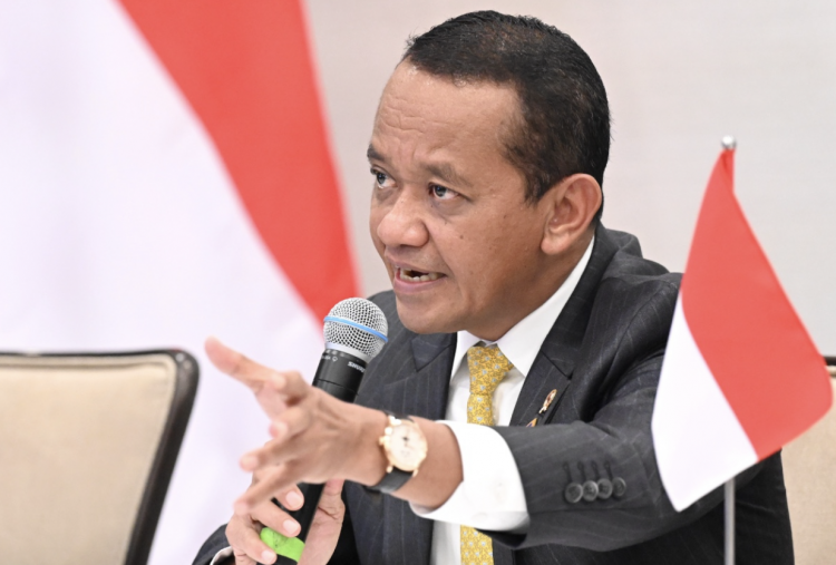 Indonesia Ajak Dunia Berinvestasi Mineral Kritis, Hilirisasi Jadi Syarat Mutlak