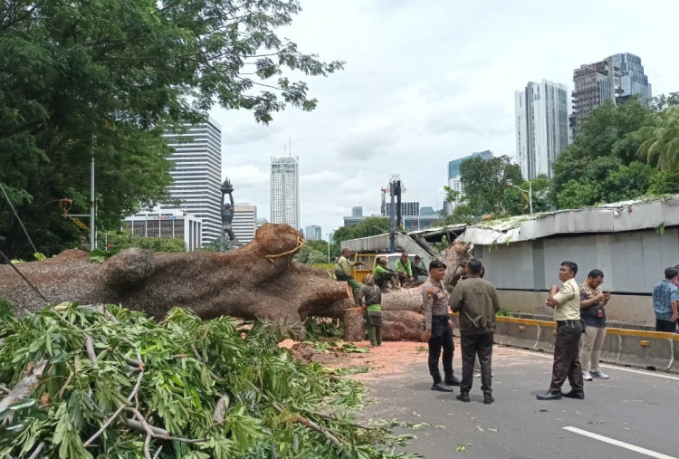 Hati-hati, Lalin di Sekitar Bundaran Senayan Dialihkan Imbas Pohon Tumbang: Cek di Sini