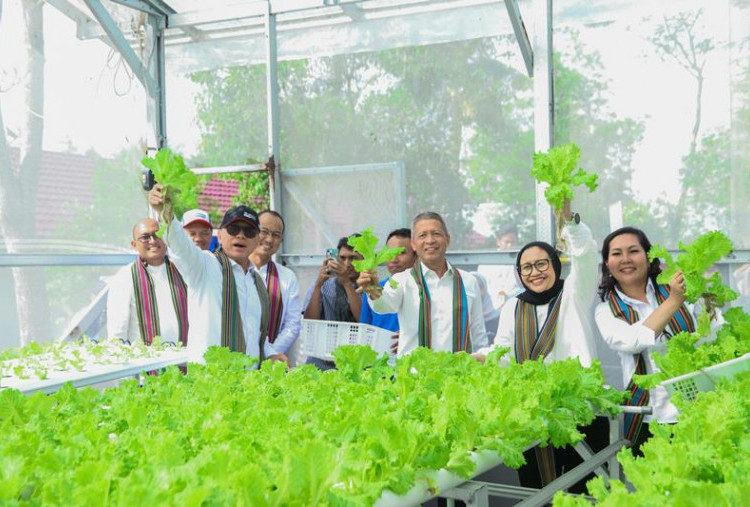 Pertamina Dorong Kemandirian Energi Desa Lewat Program Perhutanan Sosial di Lombok