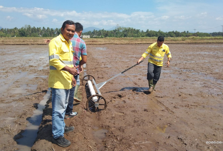 Menuju Pertanian Modern, NHM Kembangkan Komoditas Padi 10 Hektare di Kao Barat