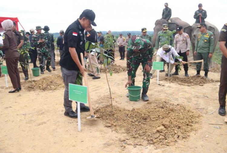 Satgas Tertibkan Kawasan Hutan Tesso Nilo Riau Seluas 81.793 Hektare