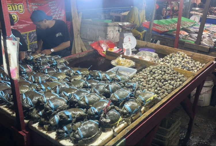 Aneka Kerang dan Kepiting Diserbu Jelang Perayaan Malam Tahun Baru, Pedagang Kramat Jati Laris Manis