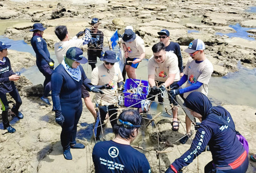 PNM Peduli Tanam Ribuan Pohon Mangrove dan Terumbu Karang di Kalimantan