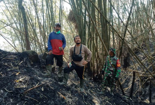 Tim Gabungan Padamkan Kebakaran Lahan di Gunung Anjasmoro