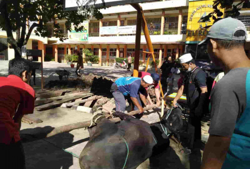 Usai Salat Ied, Yayasan Al-Furqon Palembang Potong Hewan Kurban