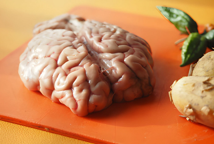 Manfaat Otak Sapi untuk MPASI: Kaya Nutrisi untuk Dukung Tumbuh Kembang Bayi