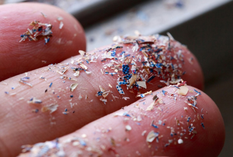 5 Alat Dapur Mengandung Mikroplastik, Bahaya Kesehatan Mengintai