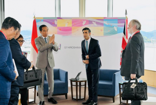 Jokowi Ajak Inggris Berinvestasi ke IKN