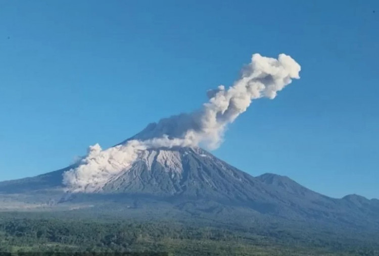Gunung Semeru Tiga Kali Erupsi, Awan Panas Guguran Meluncur 3,5 Kilometer