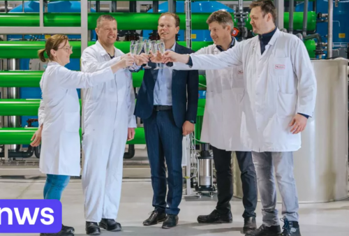 Perusahaan di Belgia Ubah Darah Babi jadi Air Minum untuk Manusia