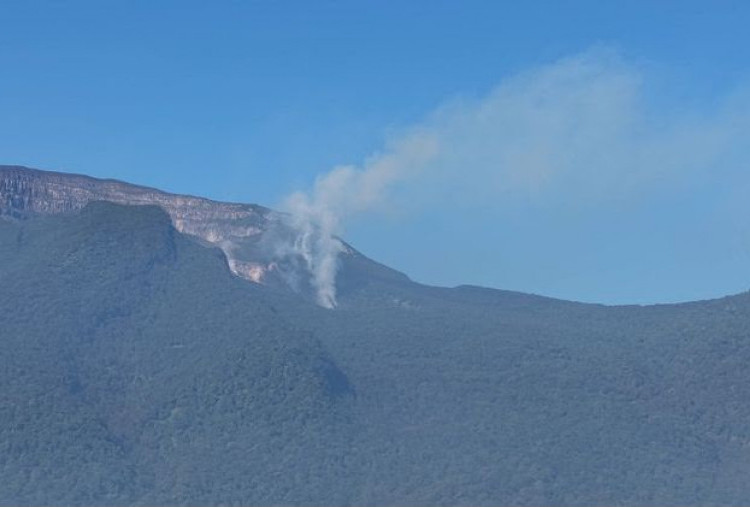 Kemenhut Berhasil Padamkan Kebakaran Gunung Gede Pangrango, Jalur Pendakian Tutup Sementara