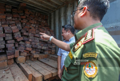 Direktur Jenderal Penegakan Hukum KLHK, dalam keterangannya, menyatakan bahwa operasi tersebut merupakan bagian dari upaya keras untuk memerangi perdagangan kayu ilegal yang merugikan sumber daya alam Indonesia. Penindakan dilakukan sesuai dengan hukum dan peraturan yang berlaku untuk melindungi hutan dan lingkungan hidup.