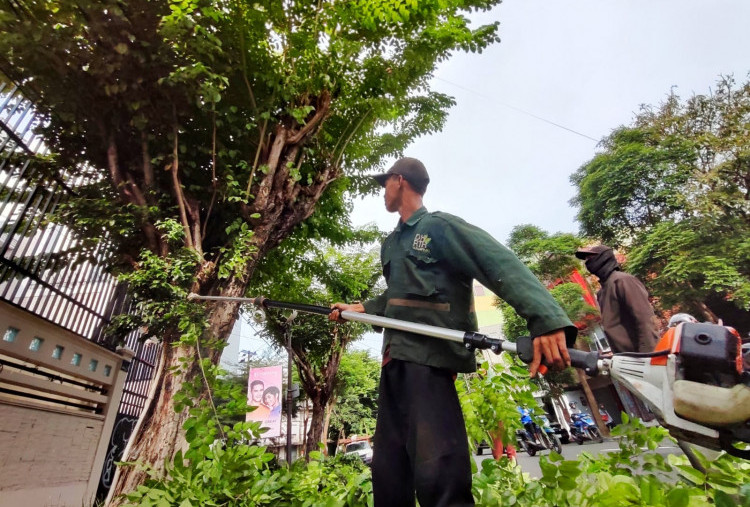 Antisipasi Cuaca Ekstrem, DLH Surabaya Gencar Perantingan di Jalan Protokol