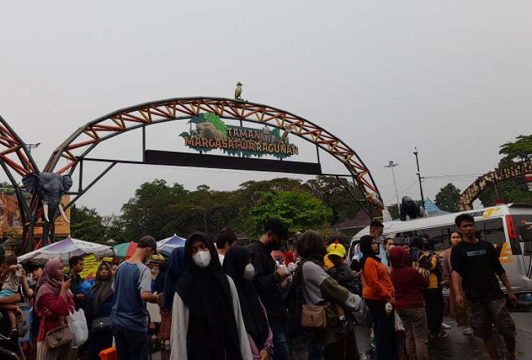 Tak Ada Acara Malam Tahun Baru 2026 di Ragunan, Waktu Buka Tetap Normal