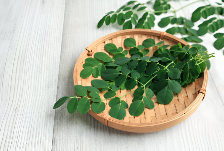 7 Manfaat Daun Kelor bagi Tubuh, Superfood yang Kaya Nutrisi